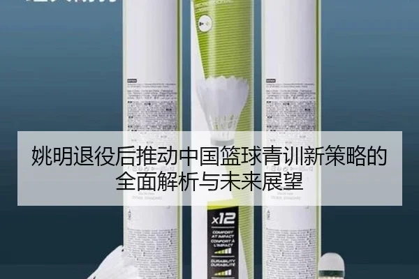 姚明退役后推动中国篮球青训新策略的全面解析与未来展望